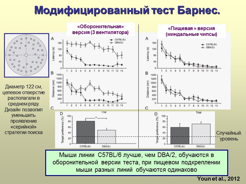 Модифицированный тест Барнес.  Мыши линии C57BL/6 лучше, чем DBA/2, обучаются в оборонительной версии